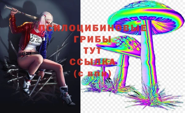 ГАЛЛЮЦИНОГЕННЫЕ ГРИБЫ Осташков