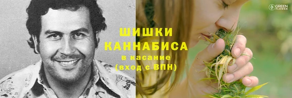 ГАЛЛЮЦИНОГЕННЫЕ ГРИБЫ Осташков