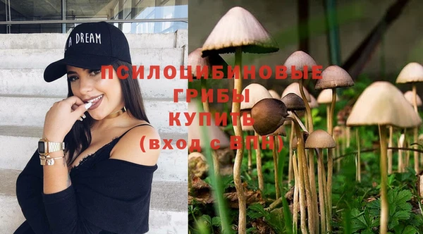 эйфоретик Магас