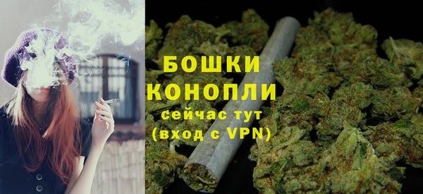 ГАЛЛЮЦИНОГЕННЫЕ ГРИБЫ Осташков