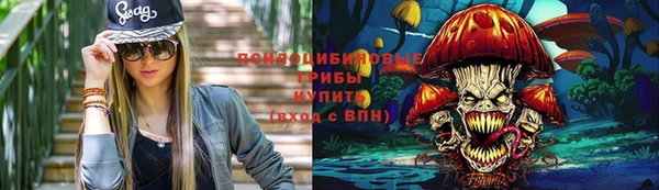 дмт Няндома