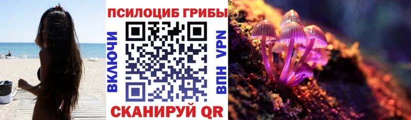 закладка  Весьегонск  Галлюциногенные грибы прущие грибы 